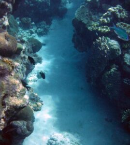 Great barrier reef, australia